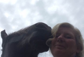 Selfie mit Pferd